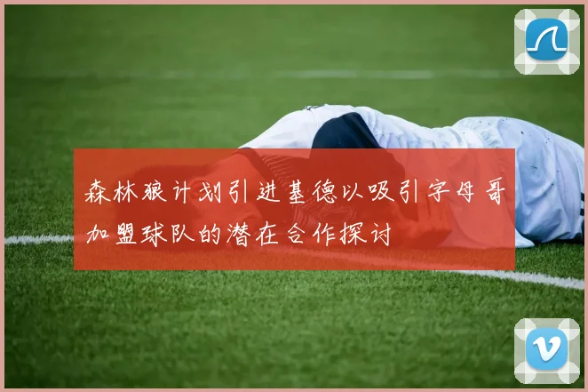森林狼计划引进基德以吸引字母哥加盟球队的潜在合作探讨